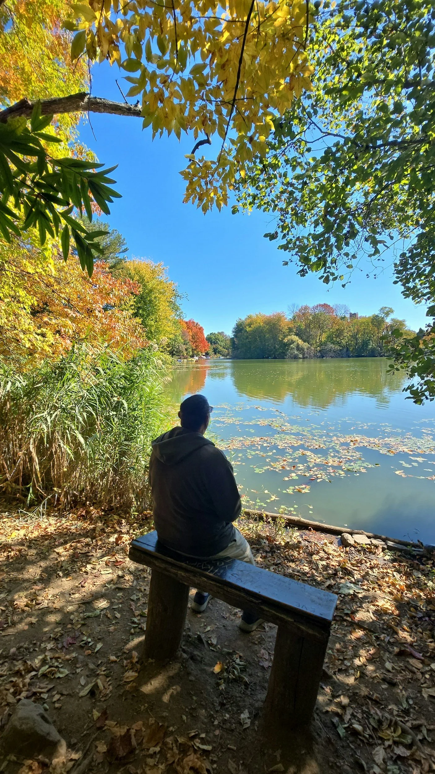 Fall Anxiety: How Men Can Manage Stress During Seasonal Changes