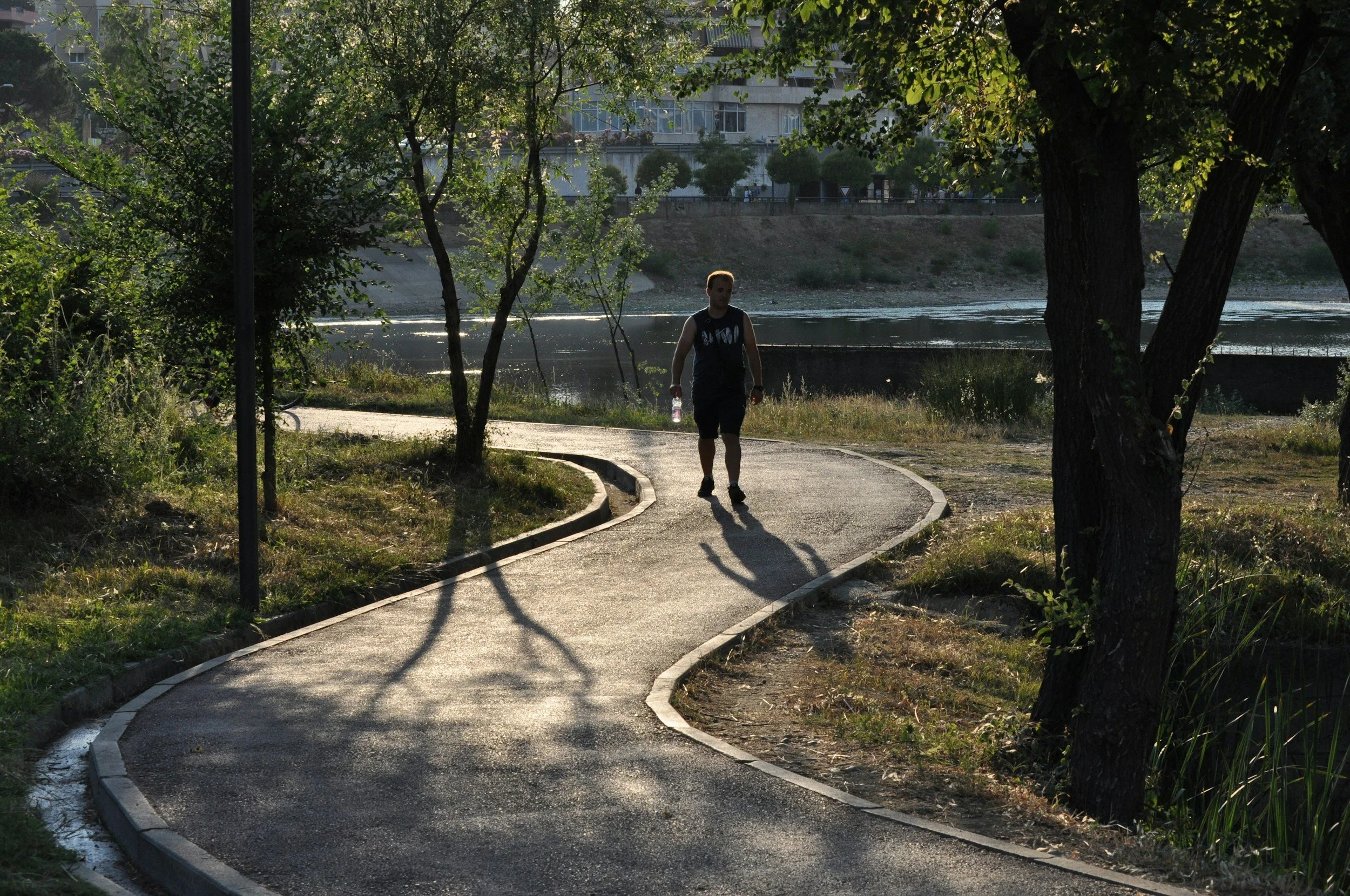 Man walking along a winding wooded trail, representing the often unpredictable process of trauma recovery.