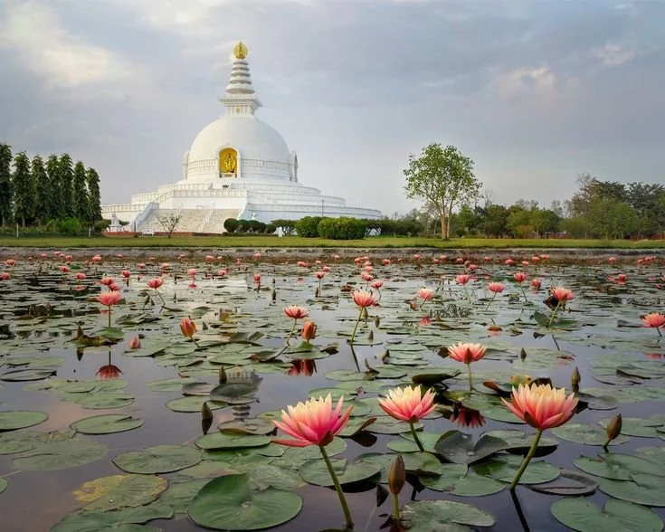 Lumbini, Nepal.jpeg