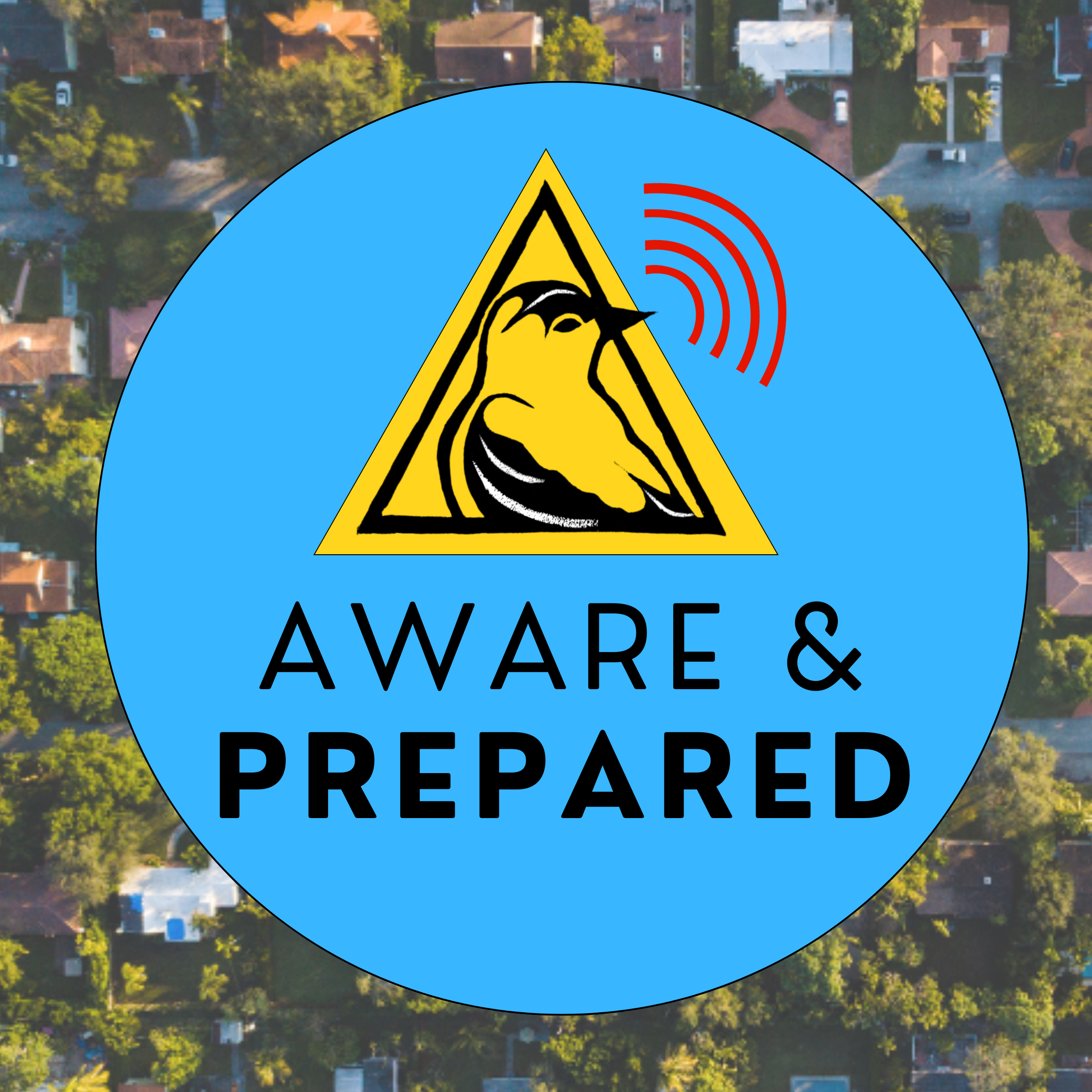 Aware and Prepared Skillshares