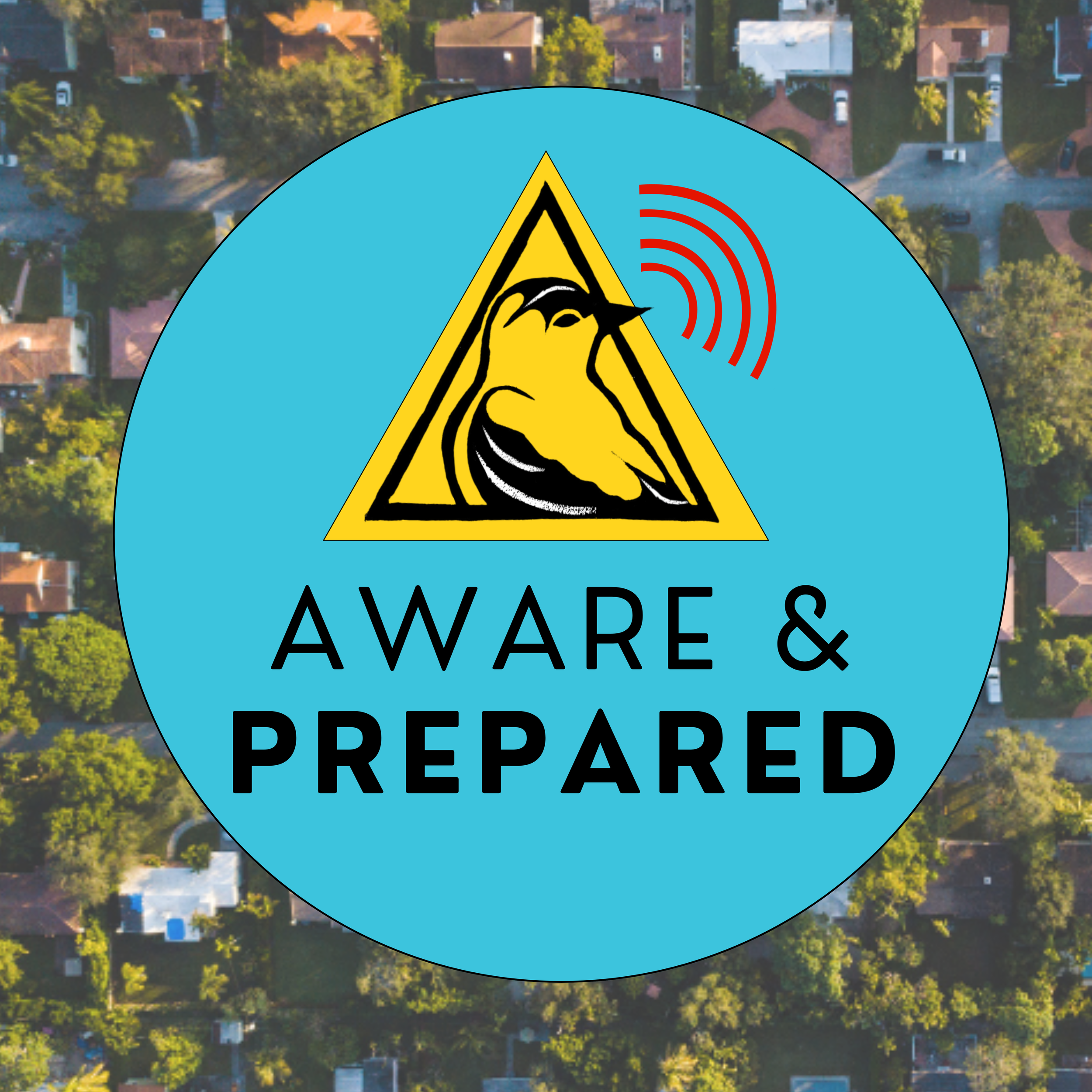 Aware and Prepared Skillshares