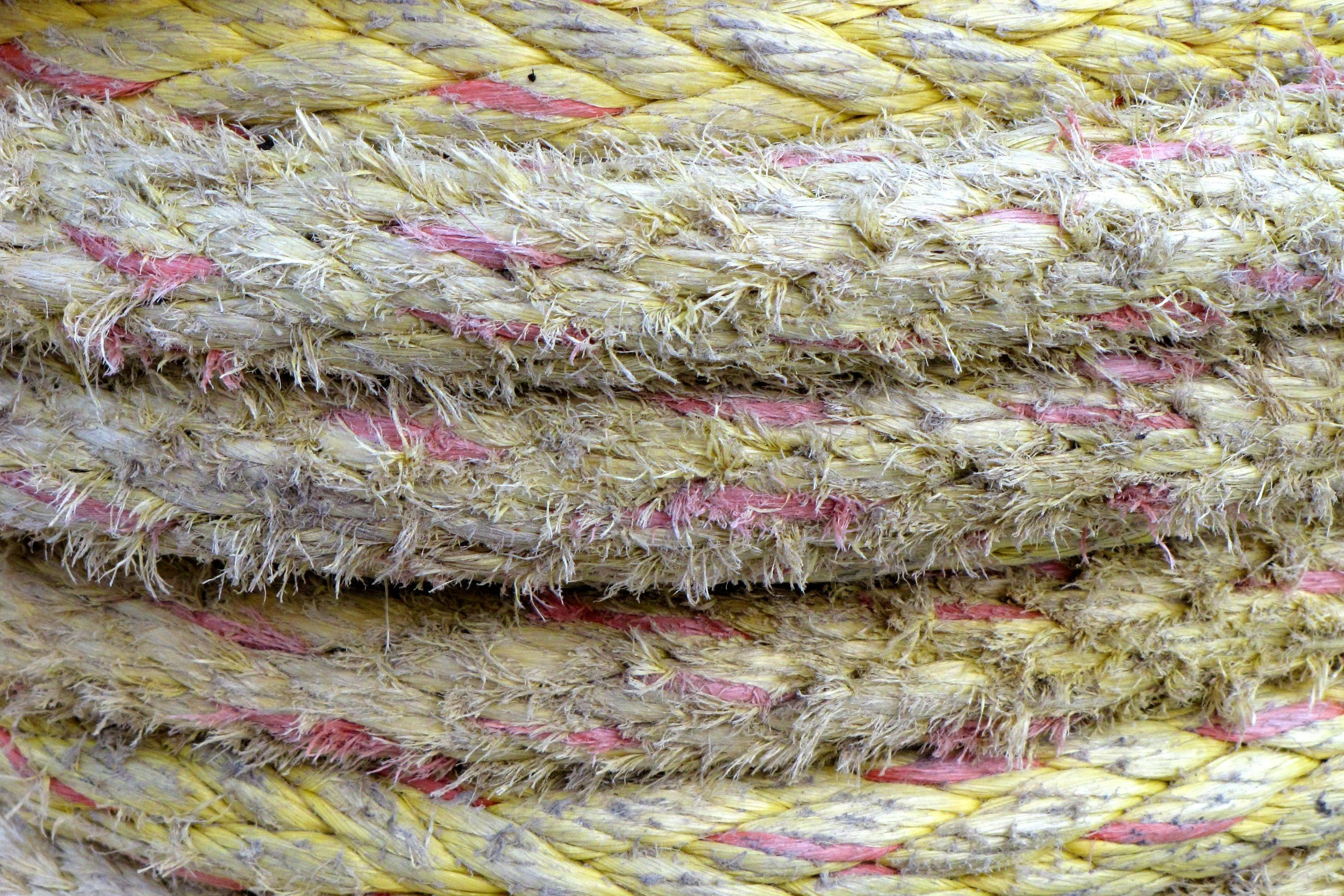 Healing Layer by Layer: A Whole-Body Approach to Wellness