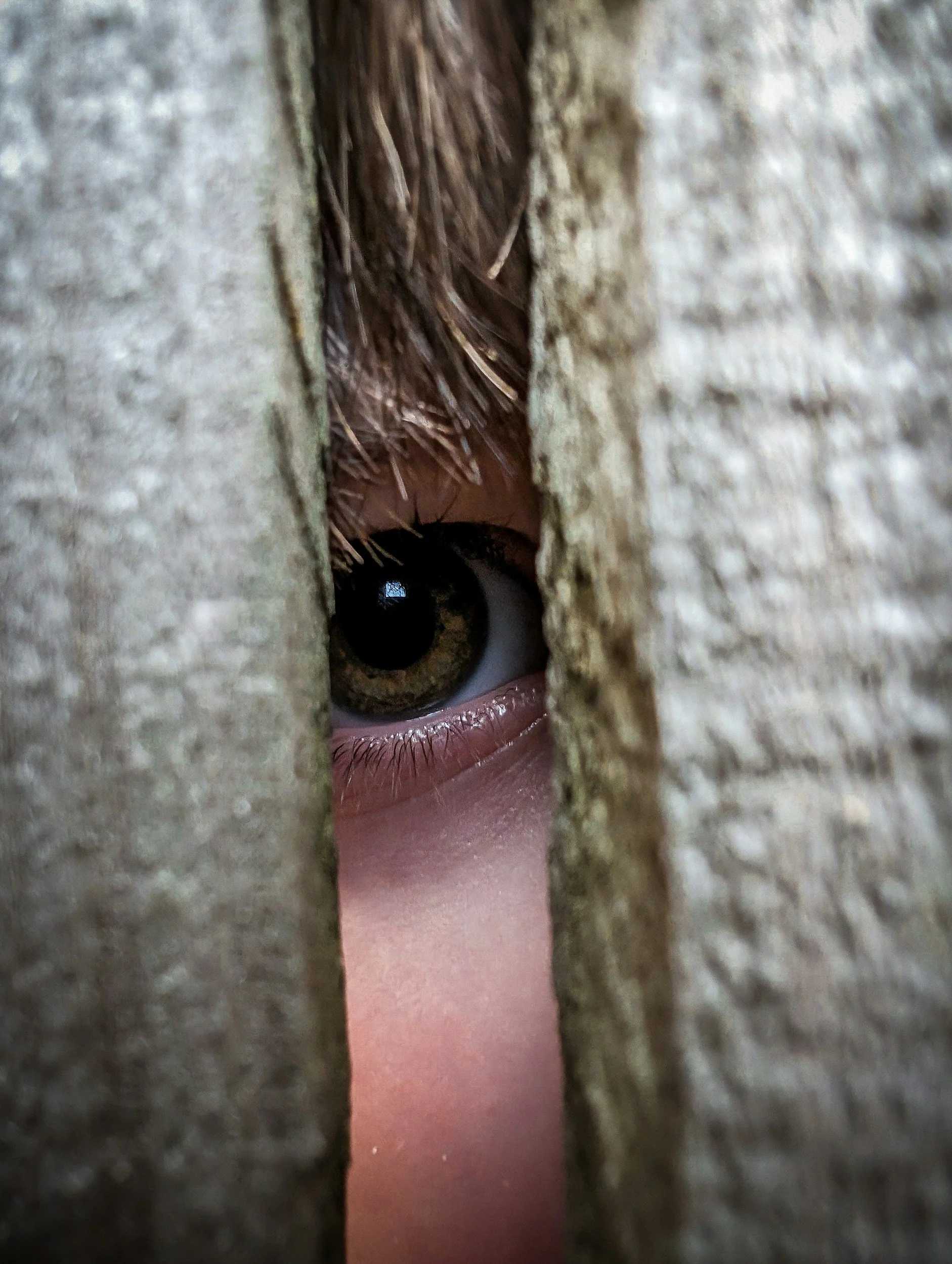 I Don’t Feel Safe: How Childhood Beliefs Impact Insulin and Whole-Body Health