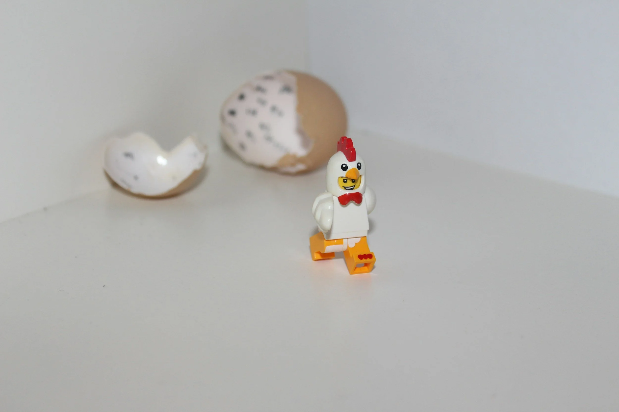 The Chicken, the Egg, and Why It Might Not Matter