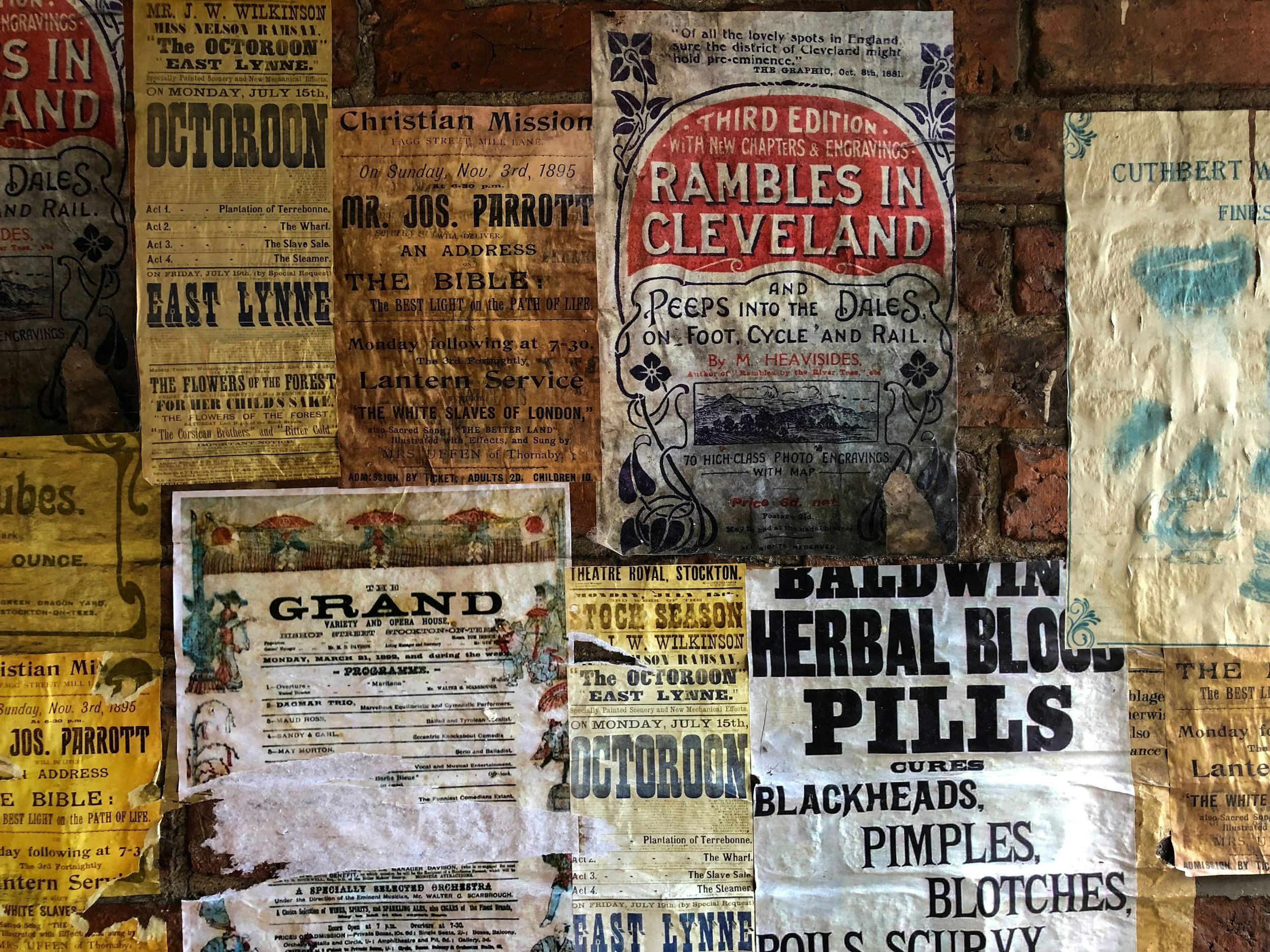 Alternative Therapies… Are They Up to Date?