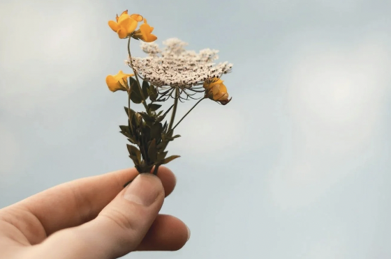 Screenshot 2026-01-23 at 12.25.47 pm.png