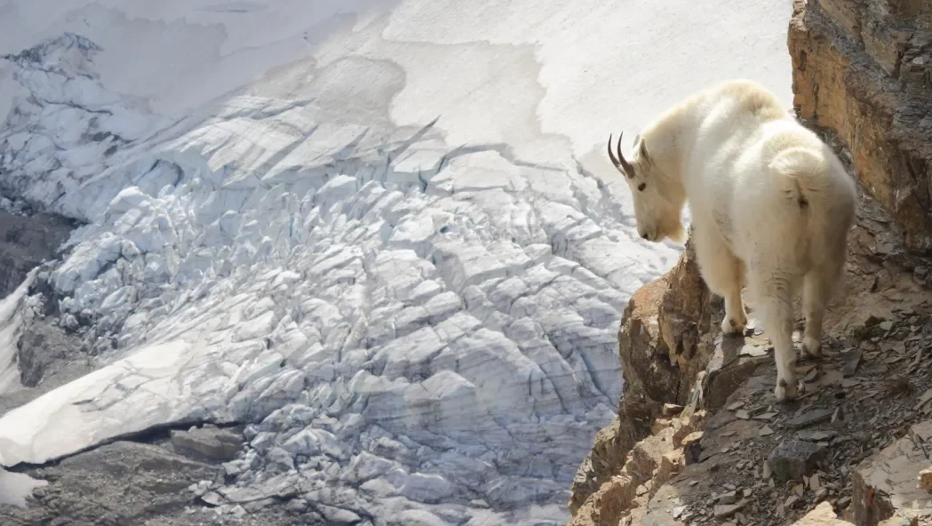 Astrological Weather Highlights December 2025