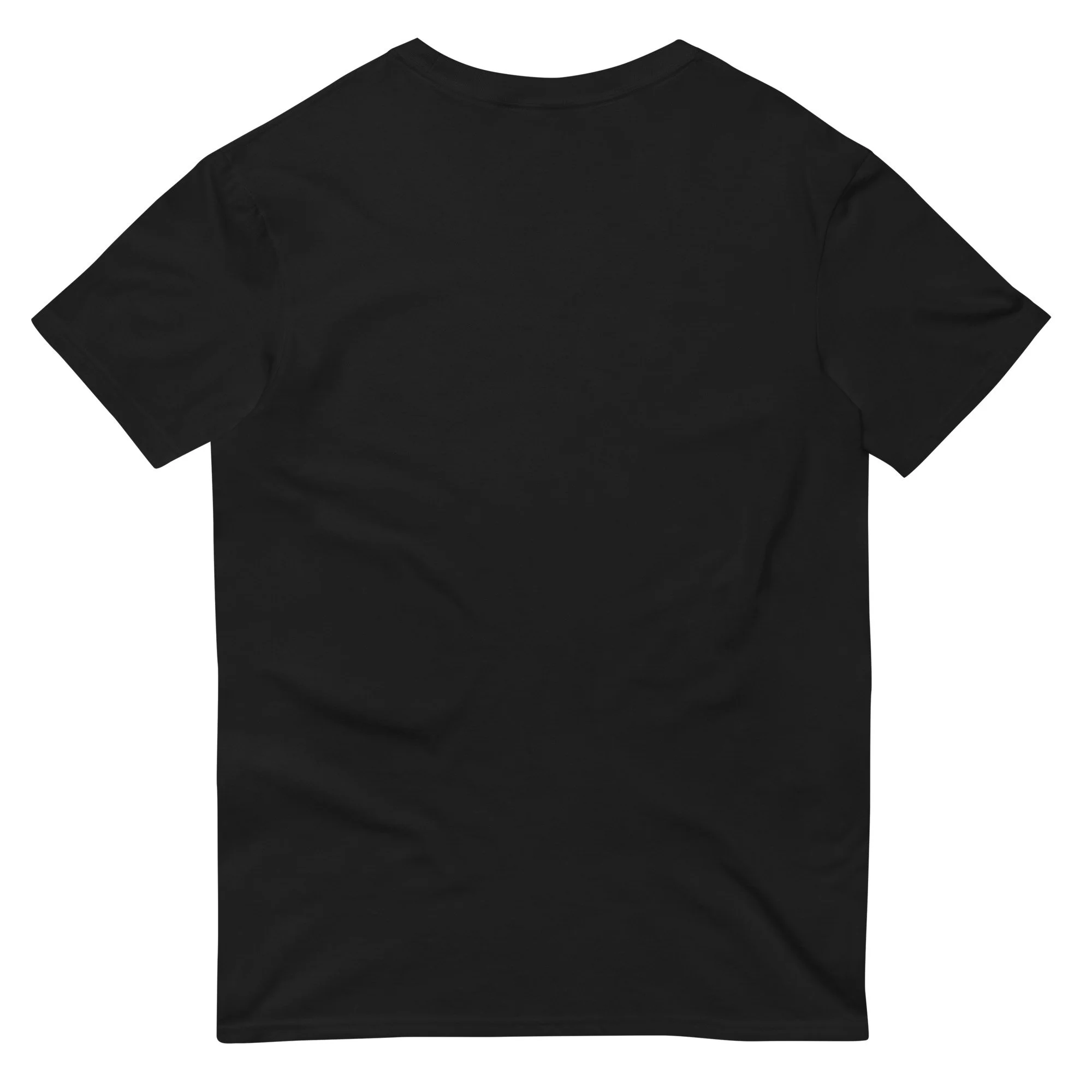 unisex-lightweight-t-shirt-black-back-678c4574e3d6f.jpg