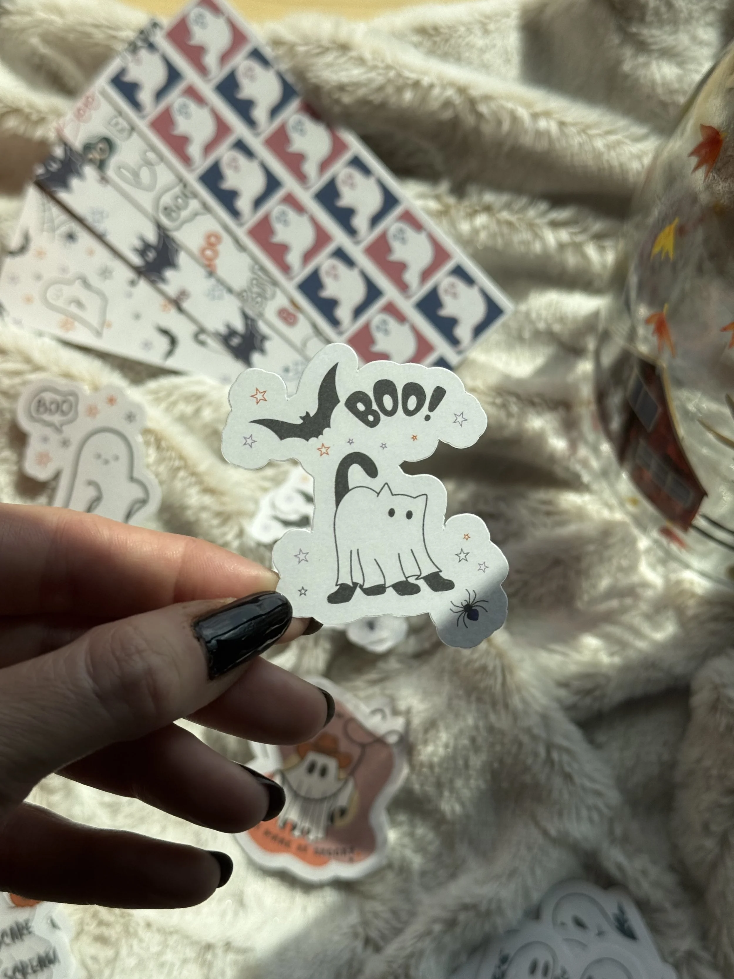 IMG_2512.jpeg
