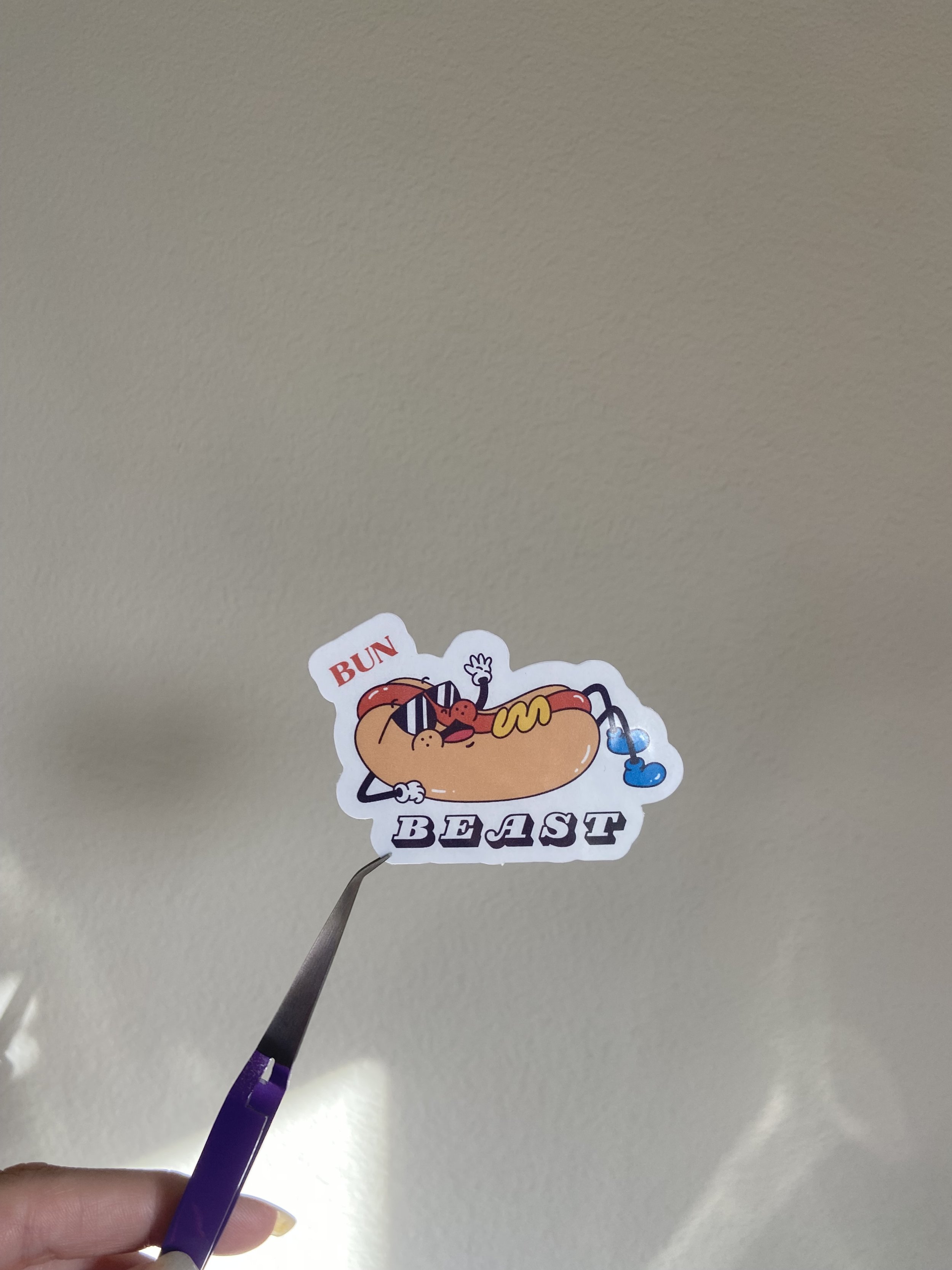 IMG_6701.jpeg