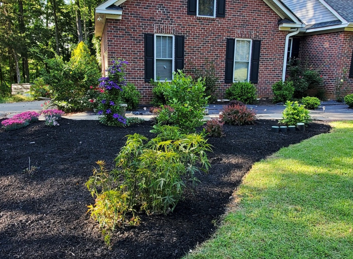 Front yard garden with brick house, mulch beds, various shrubs, and flowering plants.