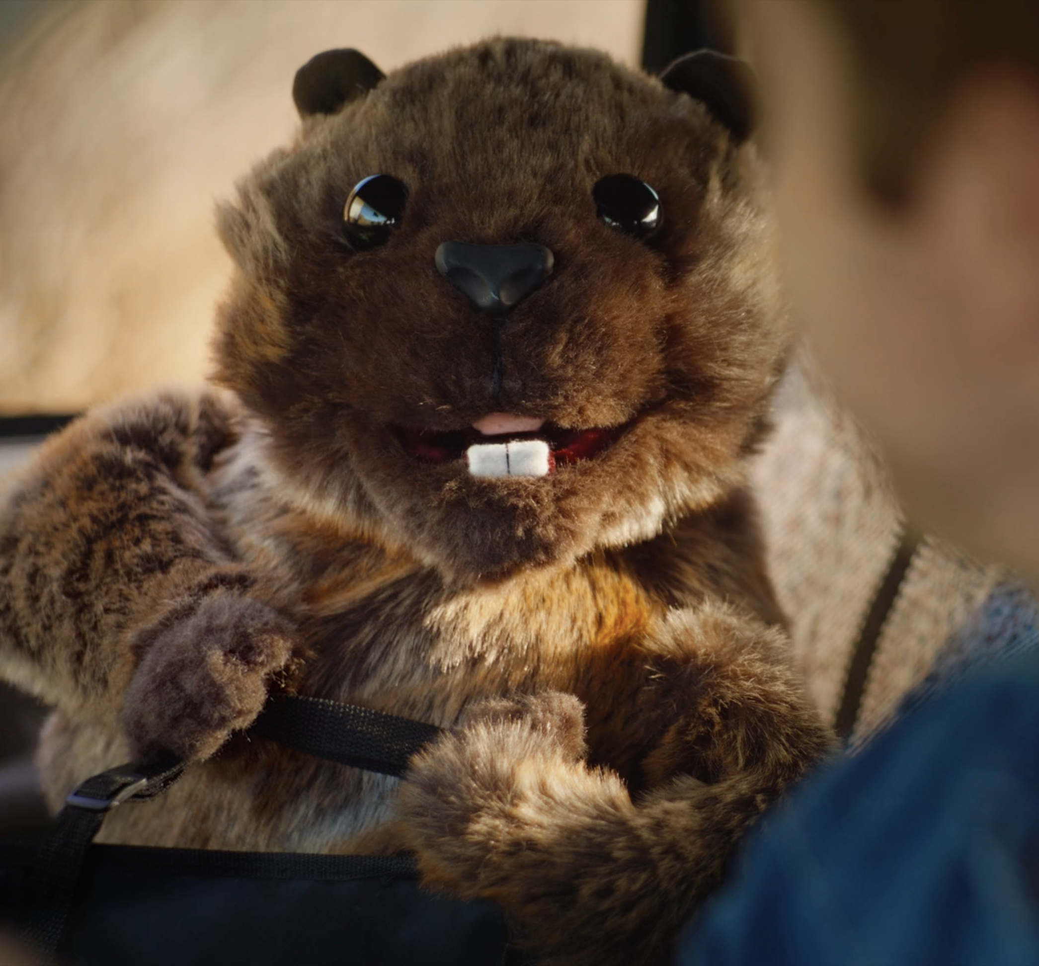 Washington Department of Ecology "Keep WA Litter Free" Campaign