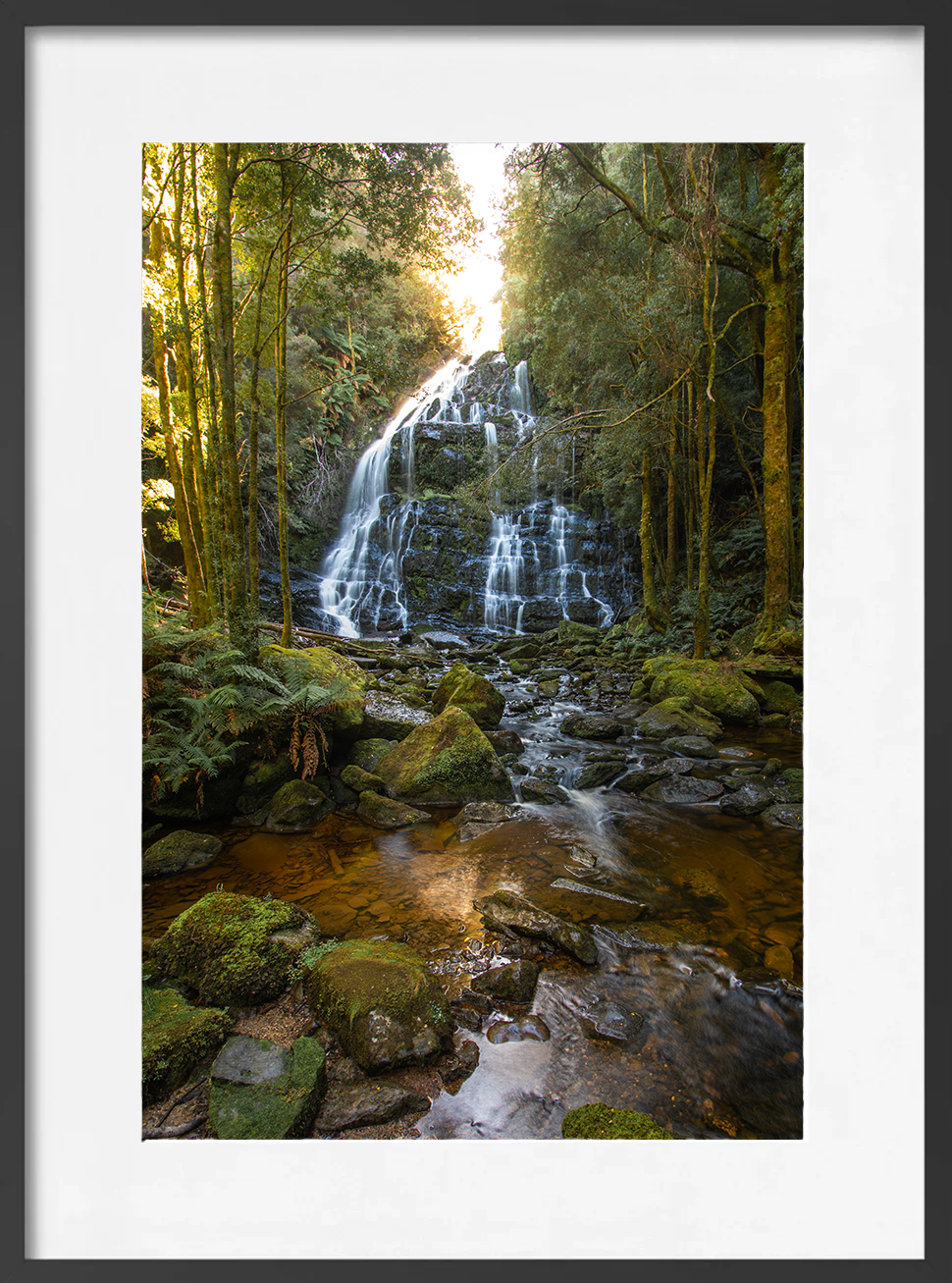NELSON FALLS