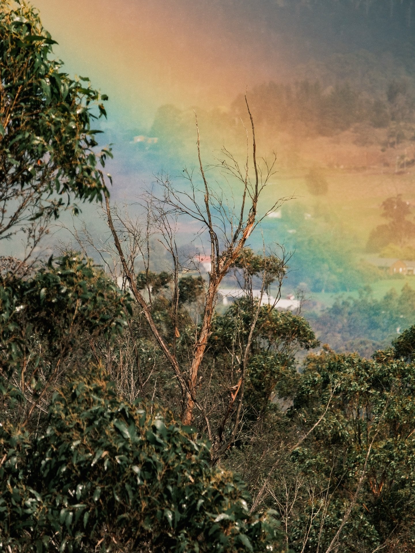 Spring moments 🌿🌞🌈