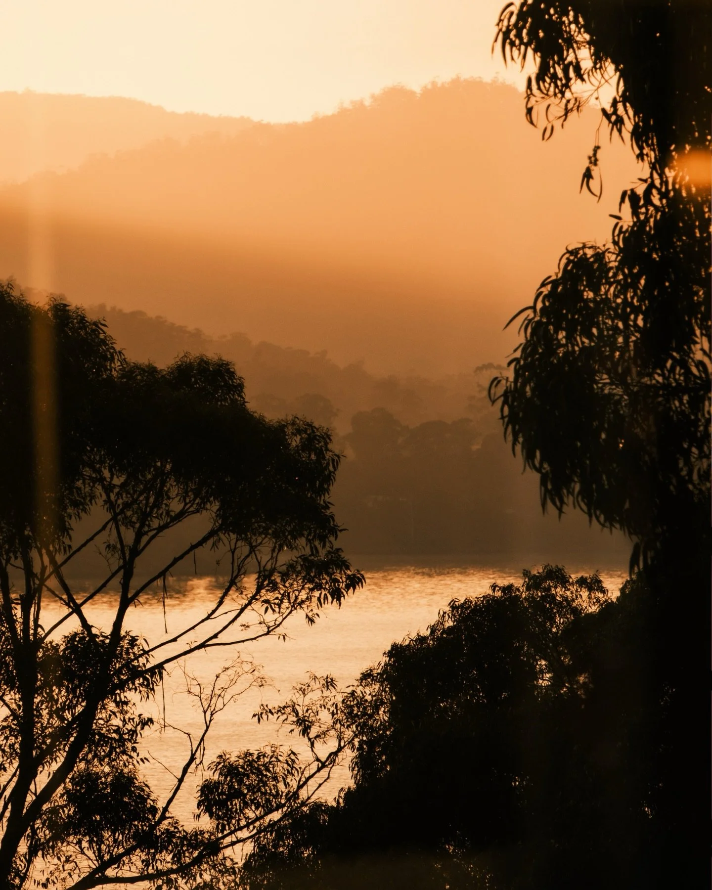 The most magic of mornings @woodland_bay_retreat last week &hellip; ✨☁️