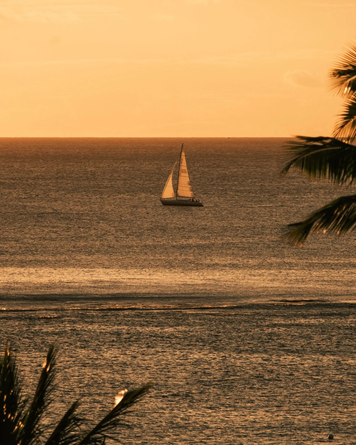 A slow start to 2026 🌞🌅