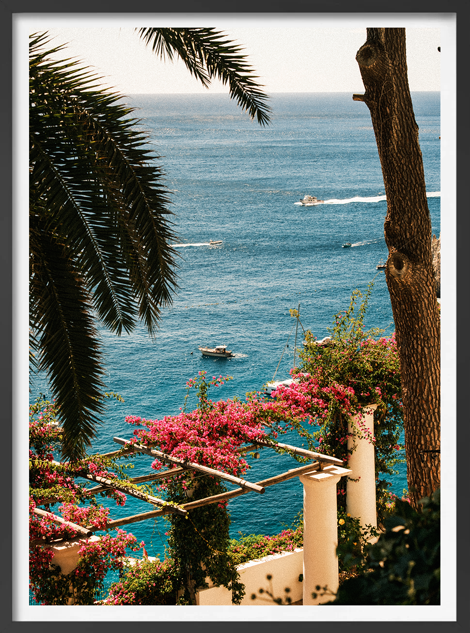 capri2.png