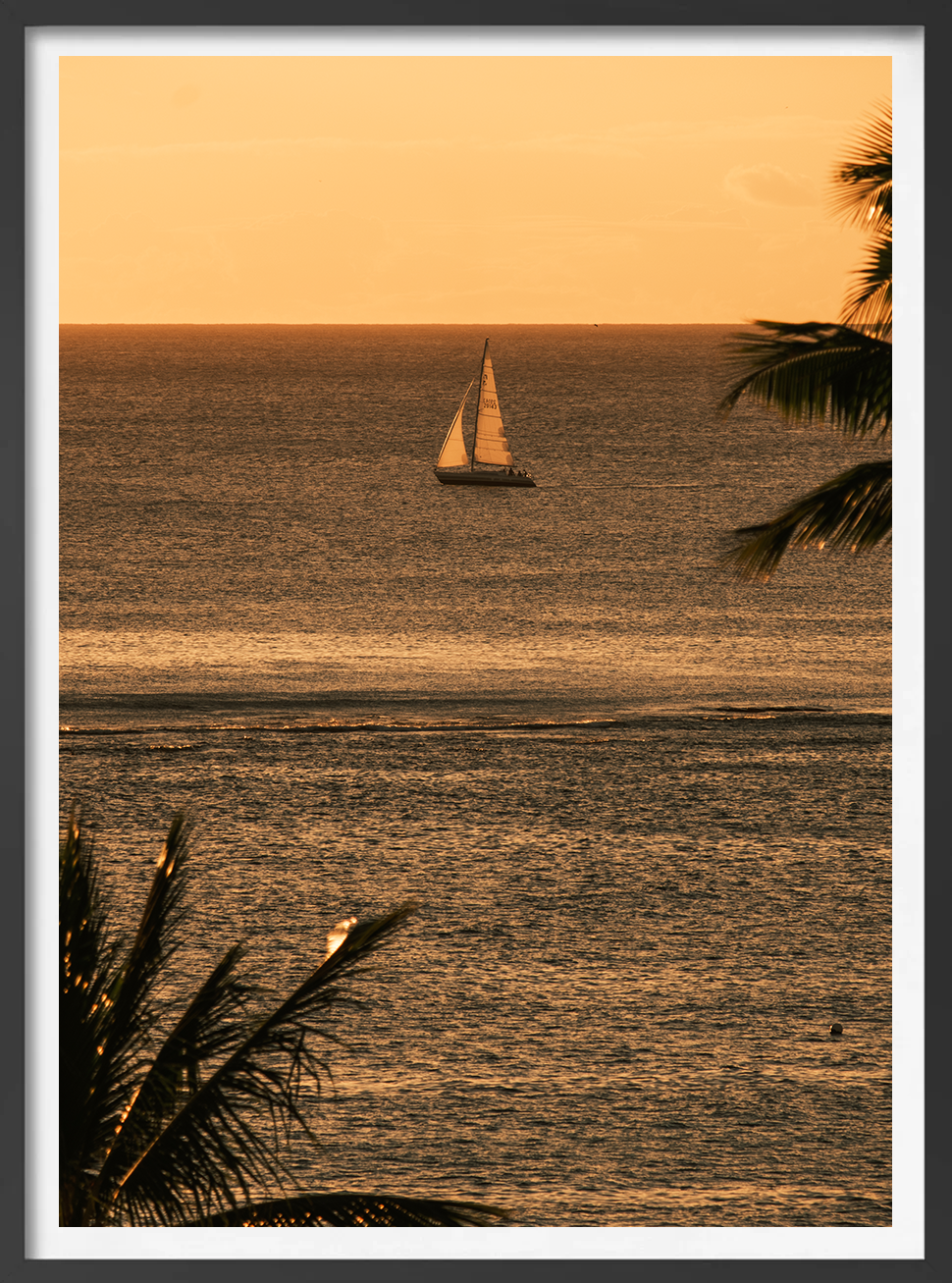 sail.png