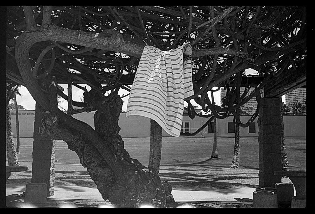 1849C950-54AA-4F4D-8C8A-EA8186003A68_1_105_c.jpeg