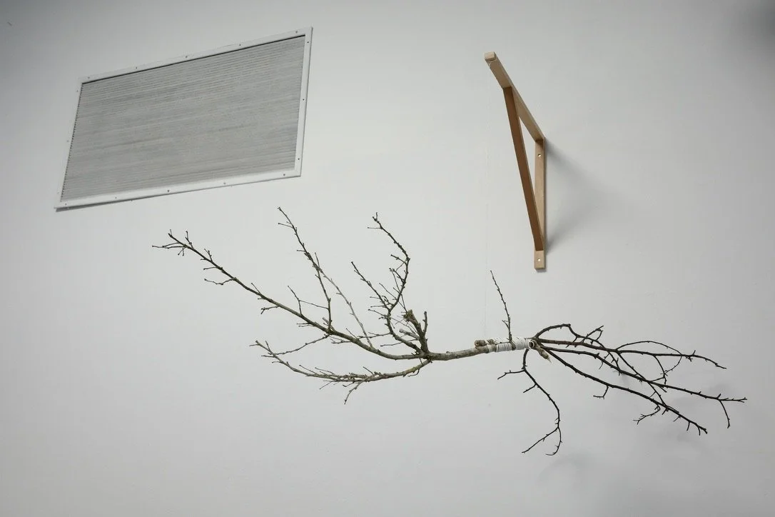 Gestures of Care (ongoing)