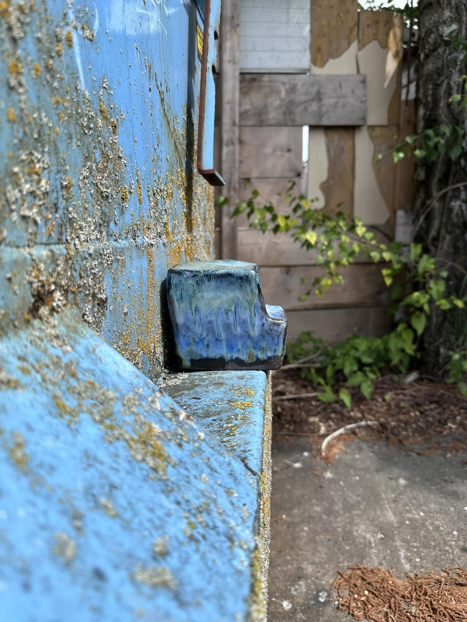 FEC4886A-8ED2-4B92-9294-AB6DB11B79C3_1_102_o.jpeg
