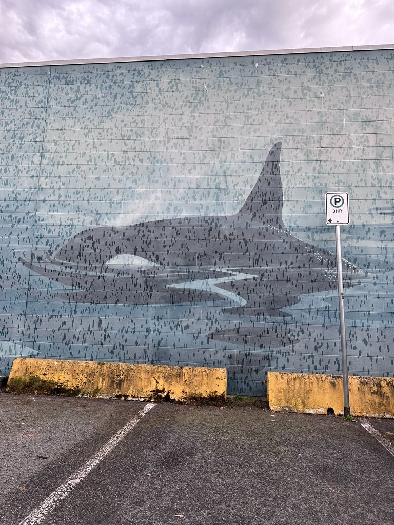 A4D54EA5-6662-4B67-9285-590583E6FED0_1_105_c.jpeg