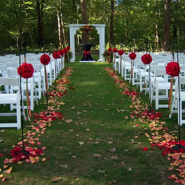 Back Yard Wedding 7.webp