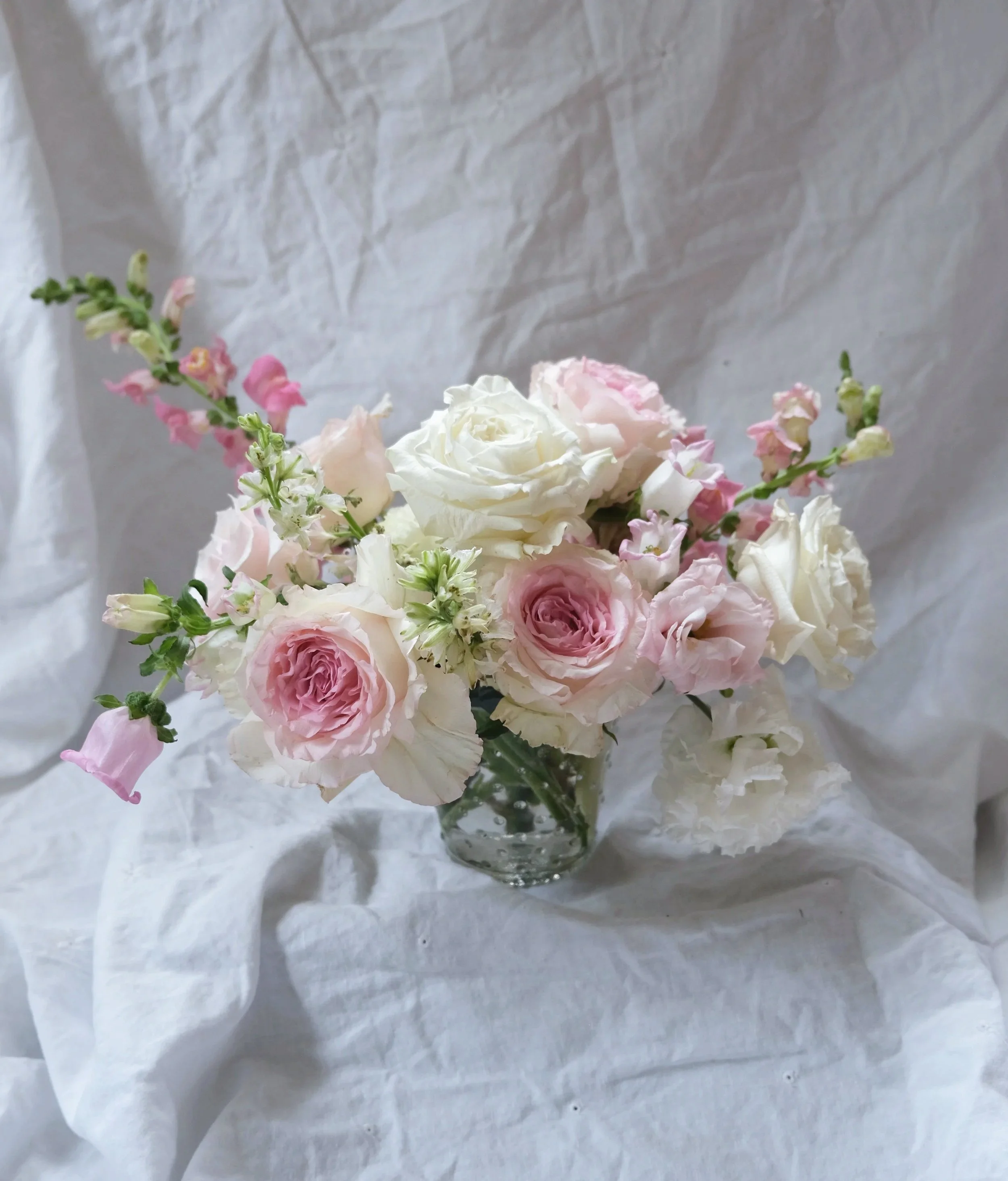 Blush Darling Petite