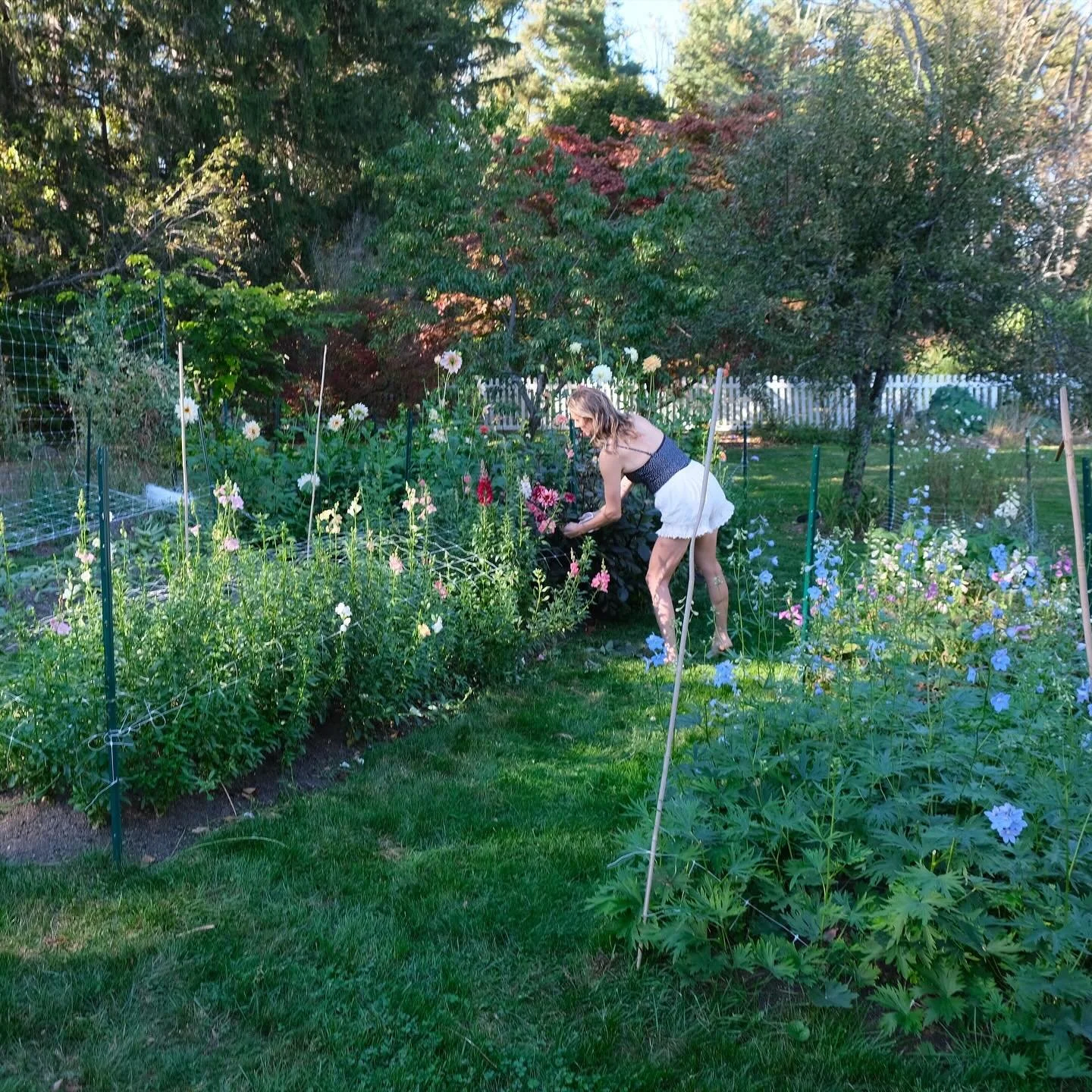 a pretty glorious October day