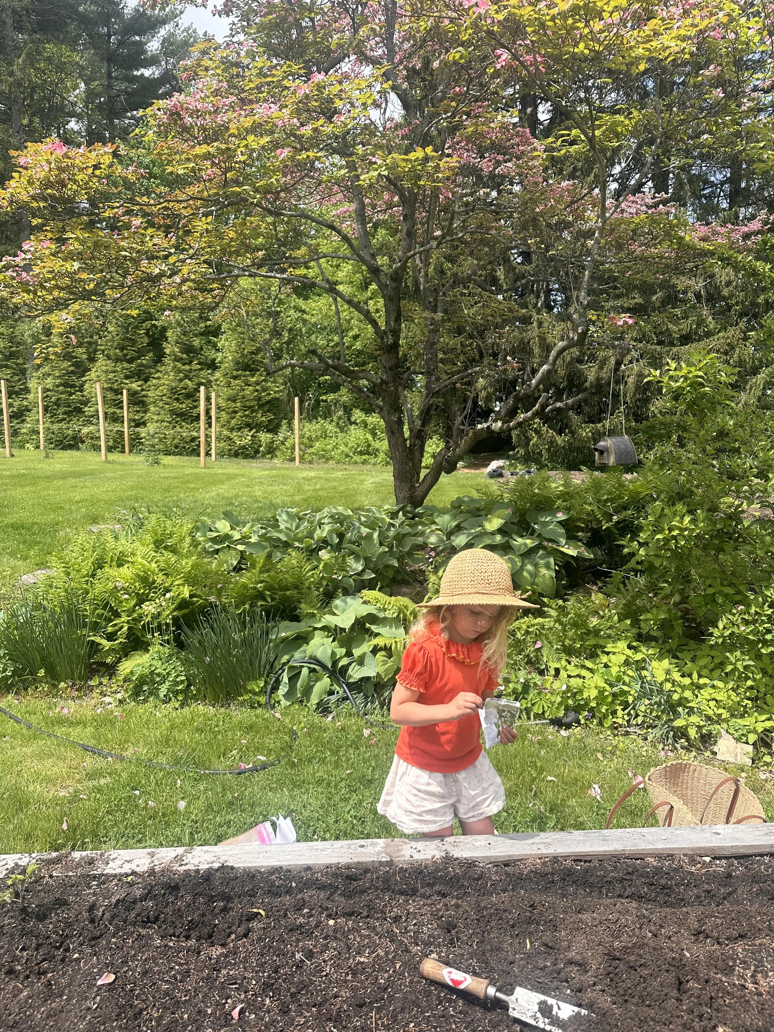 IMG_5044.jpeg