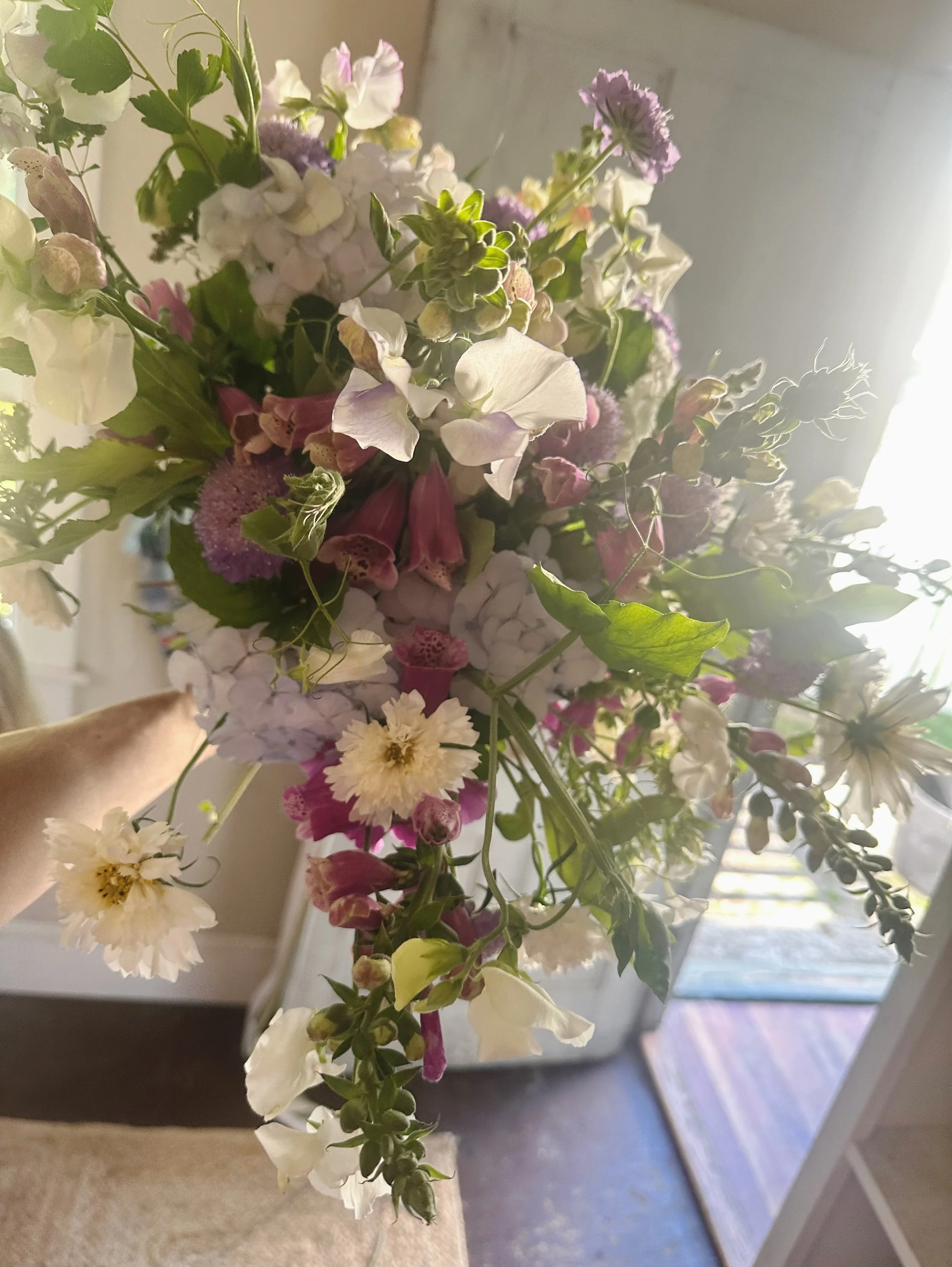 A colorful bouquet of various flowers, including white, purple, and pink blooms, held by a person's hand indoors near a window with sunlight coming through.