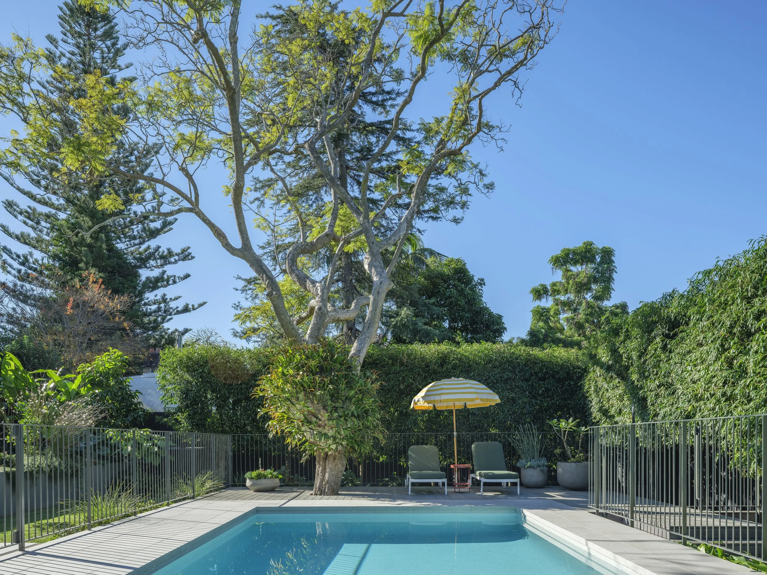 SWP_AVA-31A MAKINSON GLADESVILLE_IMAG6477.jpg