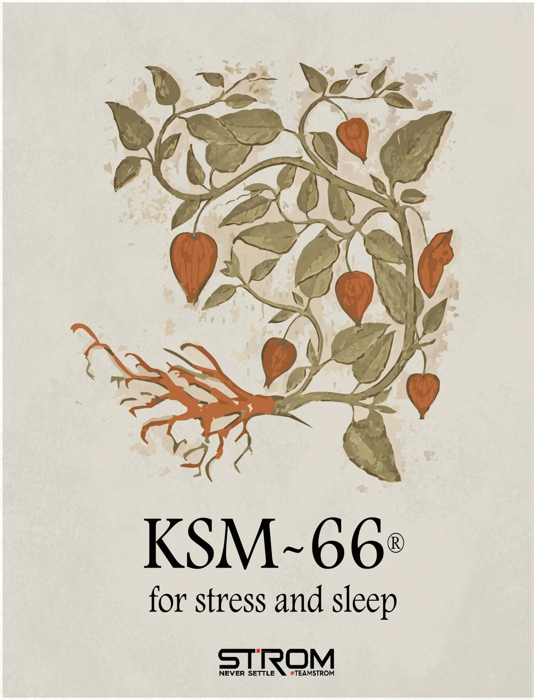 KSM-66® Ashwagandha   - Herbal Stress Relief Backed by Science