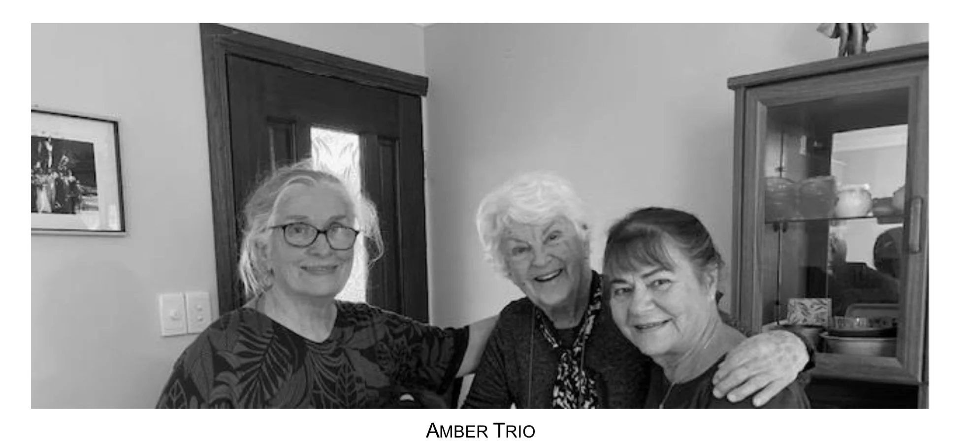 Amber Trio Musical Concert