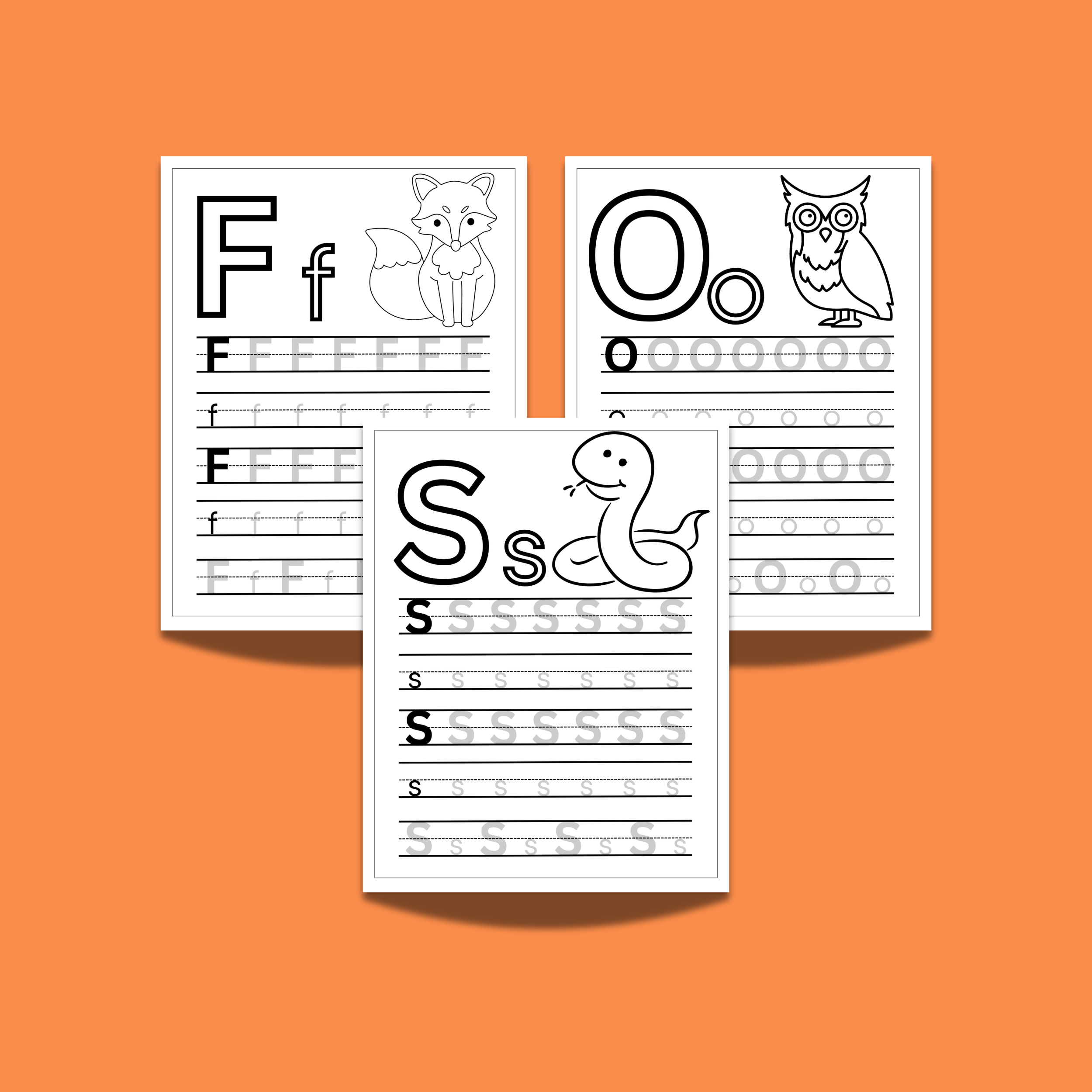 SQUARESPACE_6.png