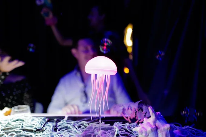 our romanitc dinner experience