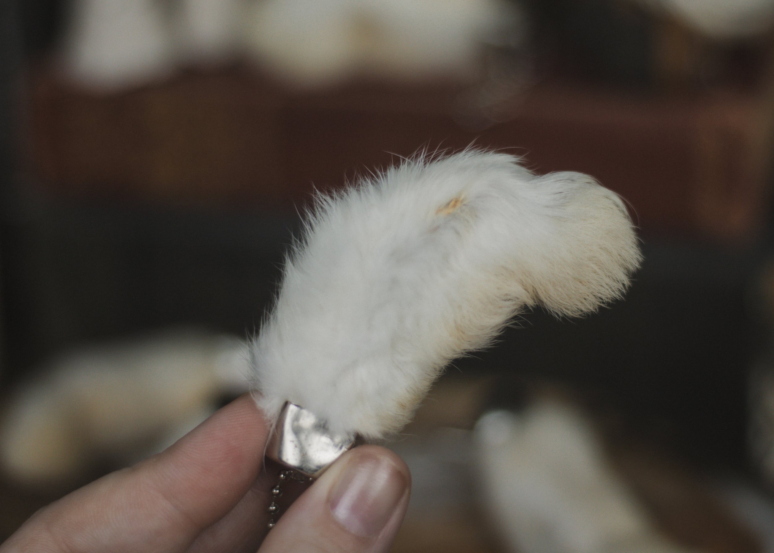 Rabbit Paw Keychains-3.jpg