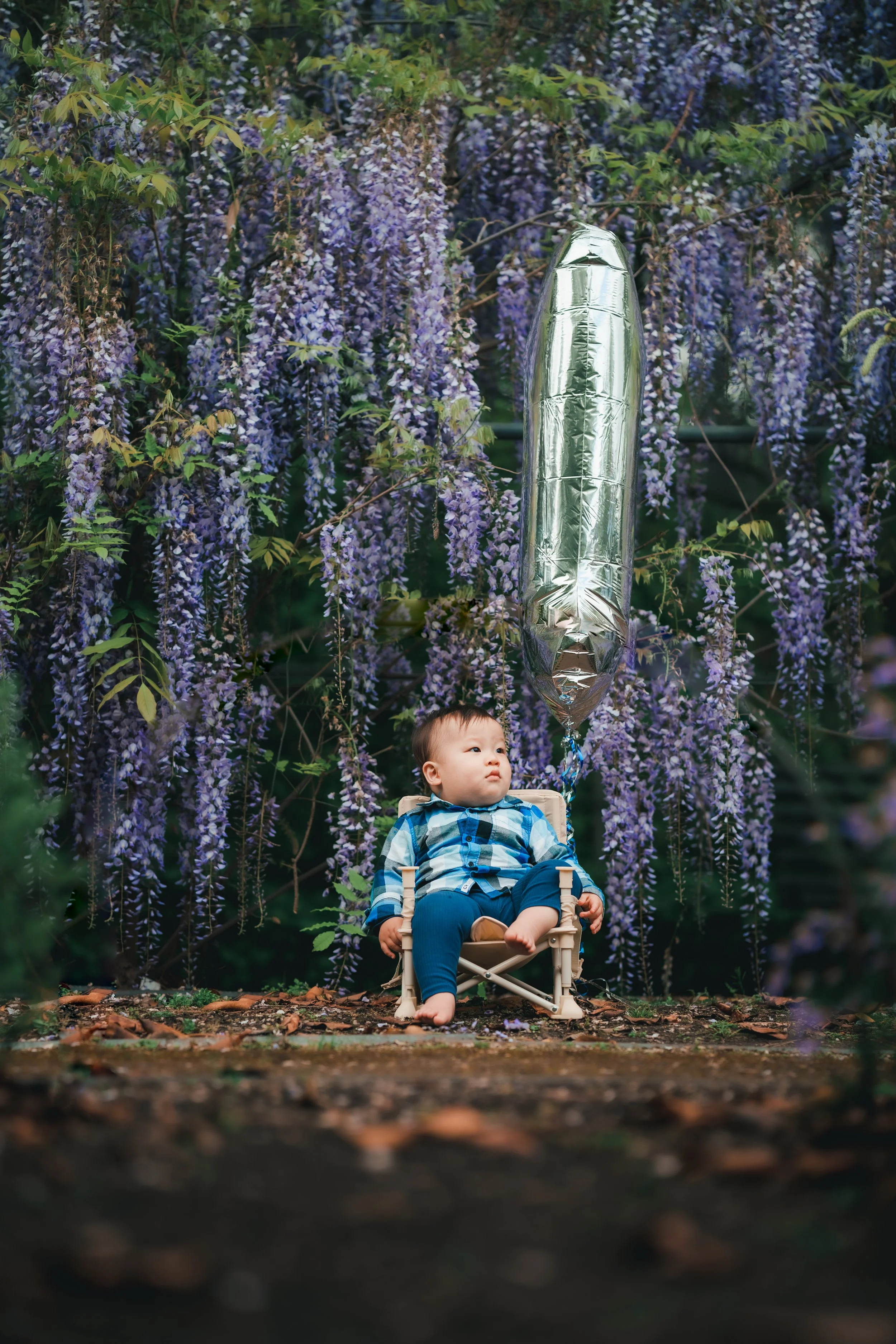 Family Photos | Botanic Garden | Adelaide 17.jpg