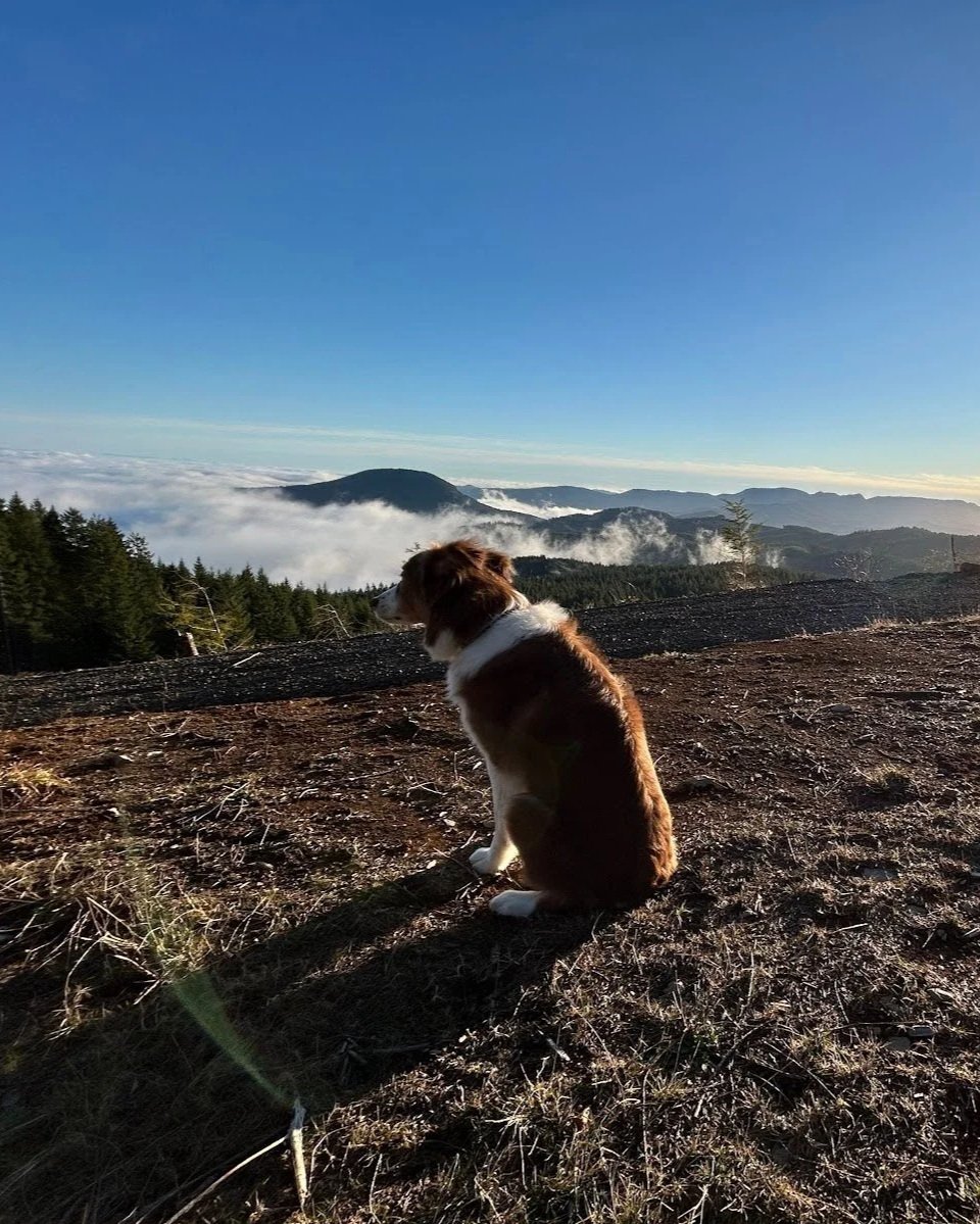 The Seven Summits of Benton County