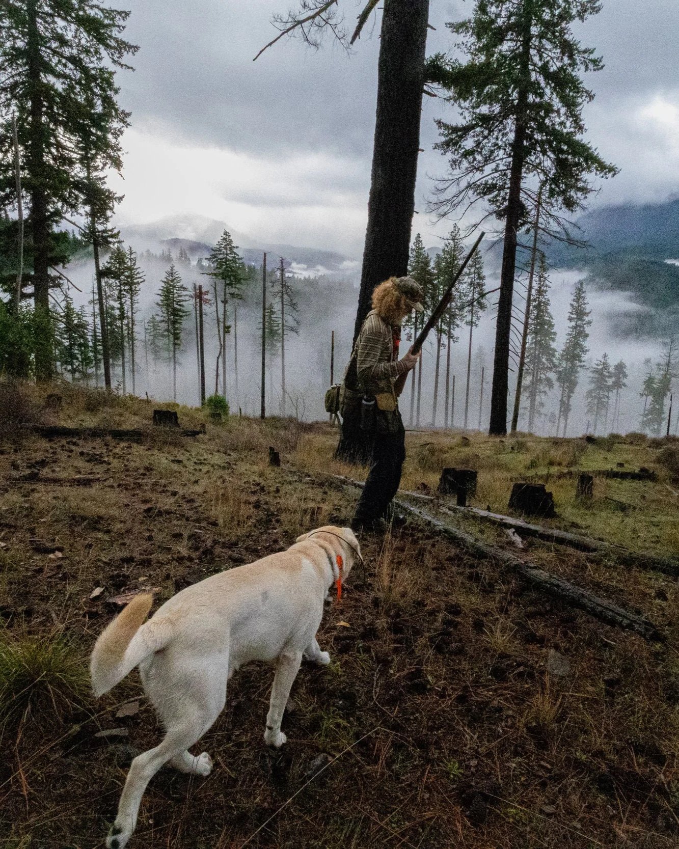 In Search of the Thunderbird