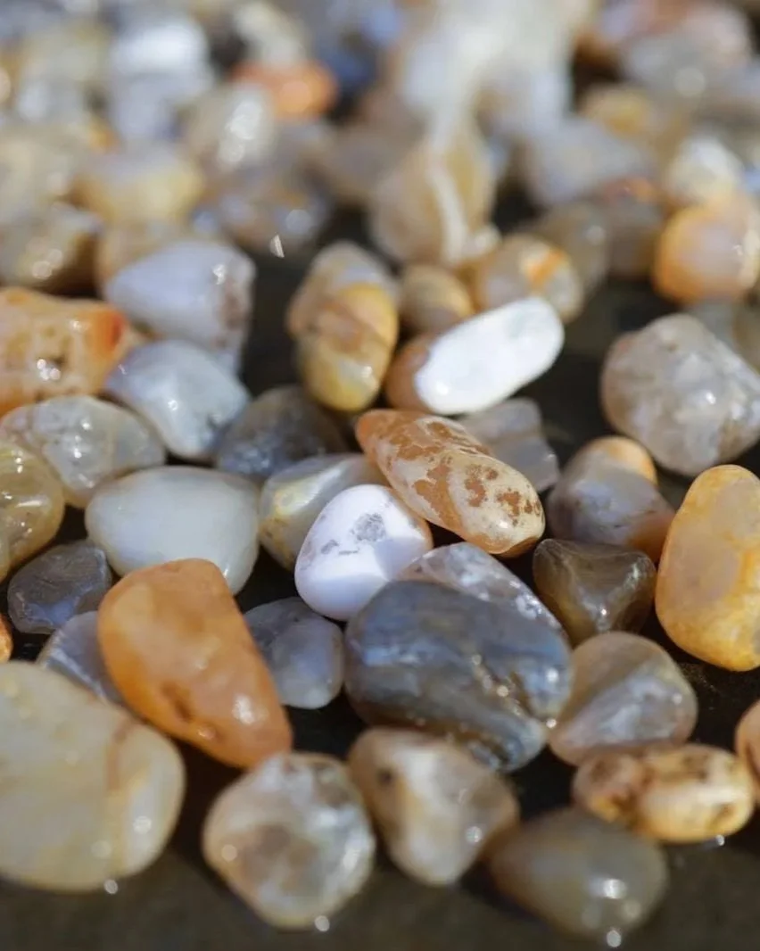 Oregon Coast Agates: The Storm Season