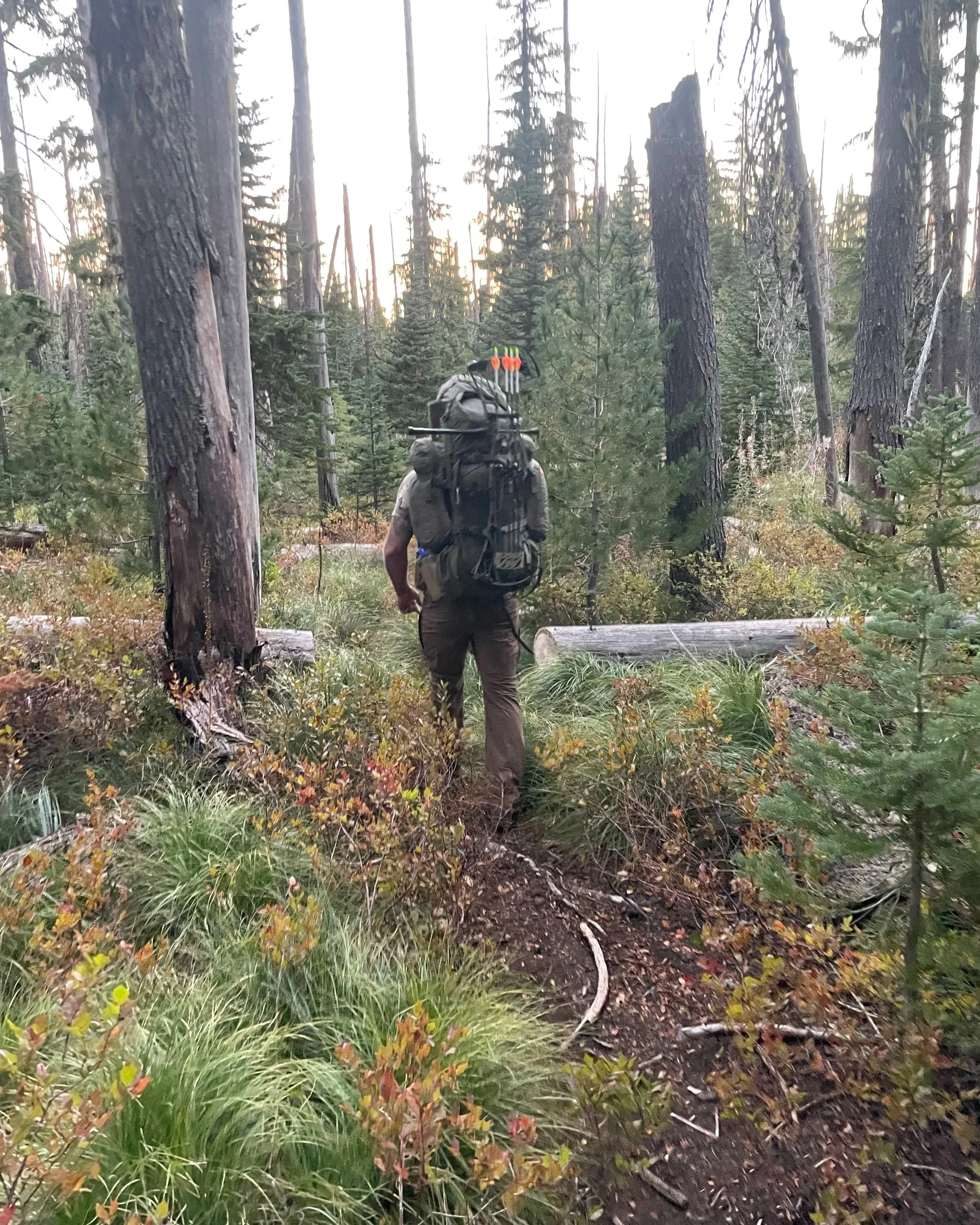 Rethinking BackCountry Nutrition