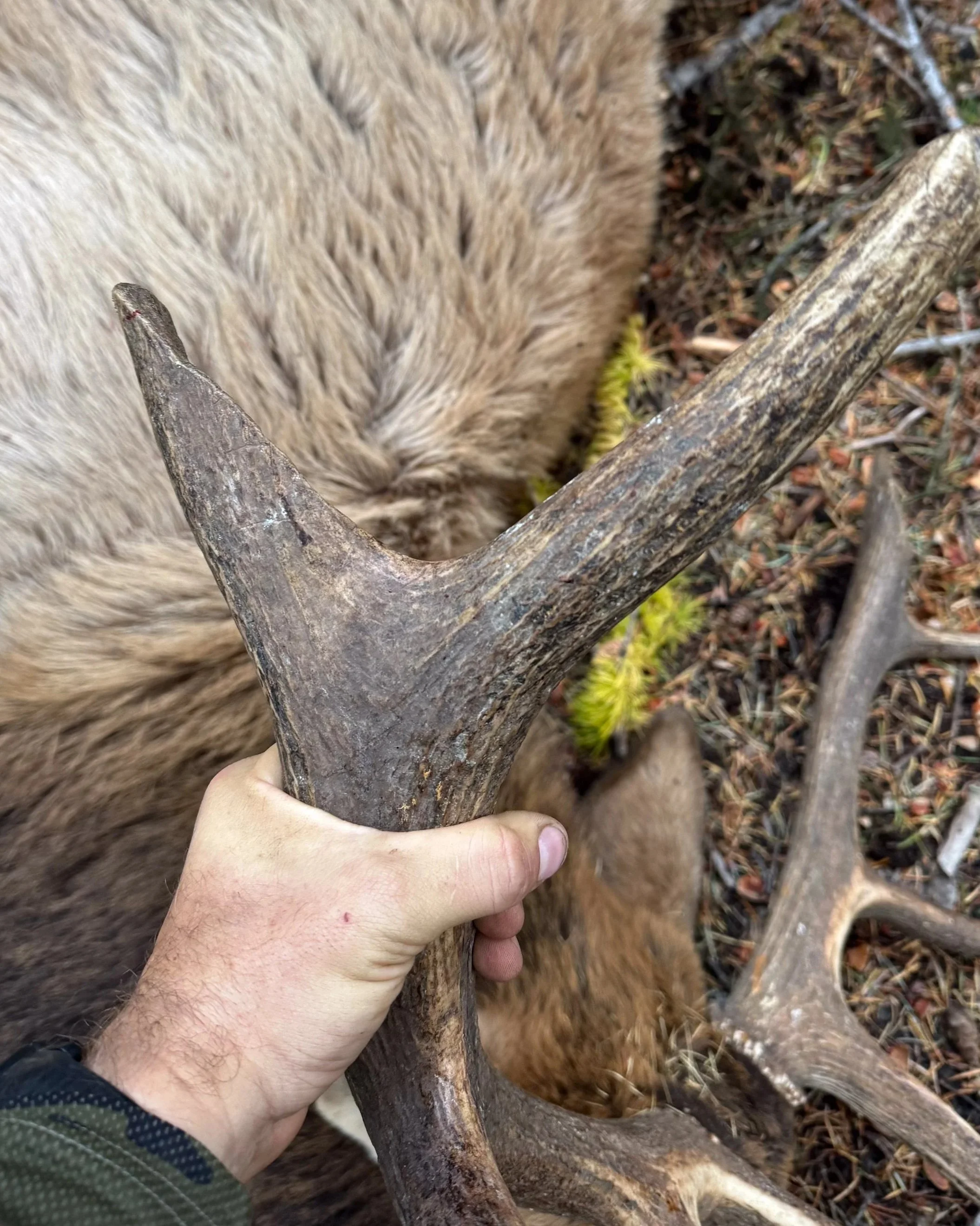 From Field to Policy: Hunting’s Influence on Conservation