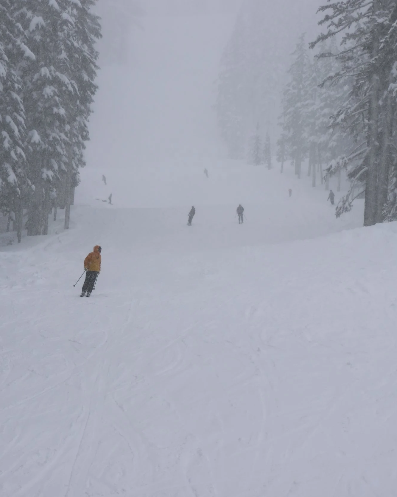 Willamette Pass: Grit, Snow, and Magic on the Mountain