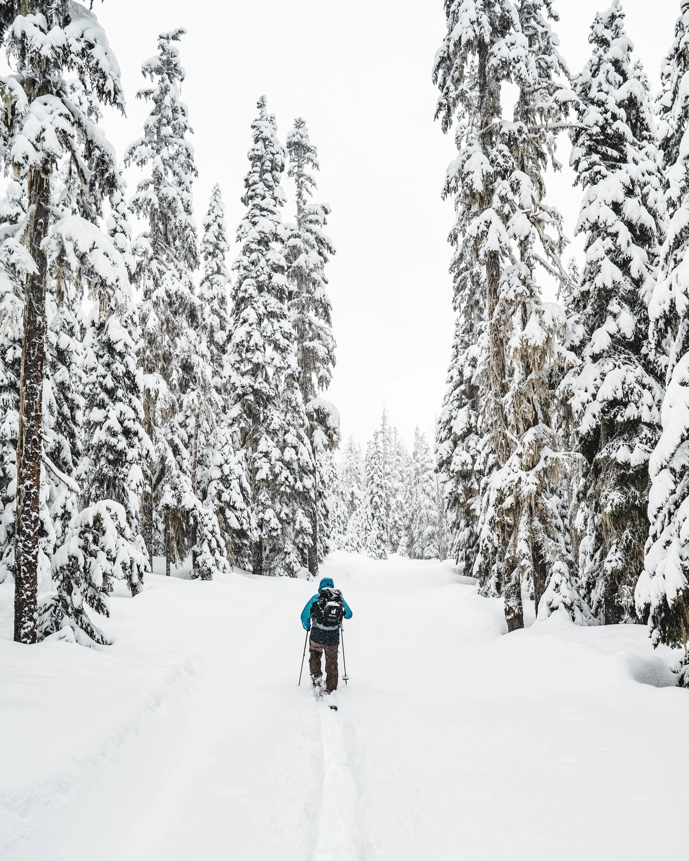 From Resort to Backcountry