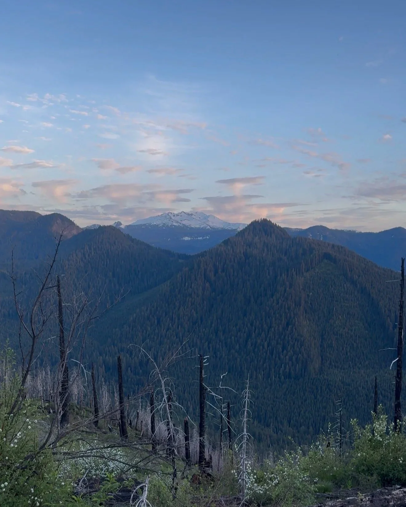 An Almost Wasted Tag: A Spring Bear Hunt in the Cascades