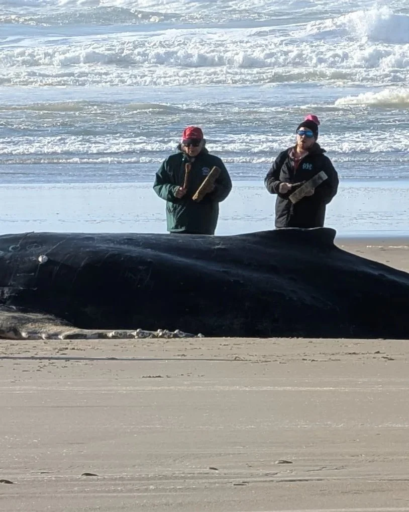 Brother from the Sea