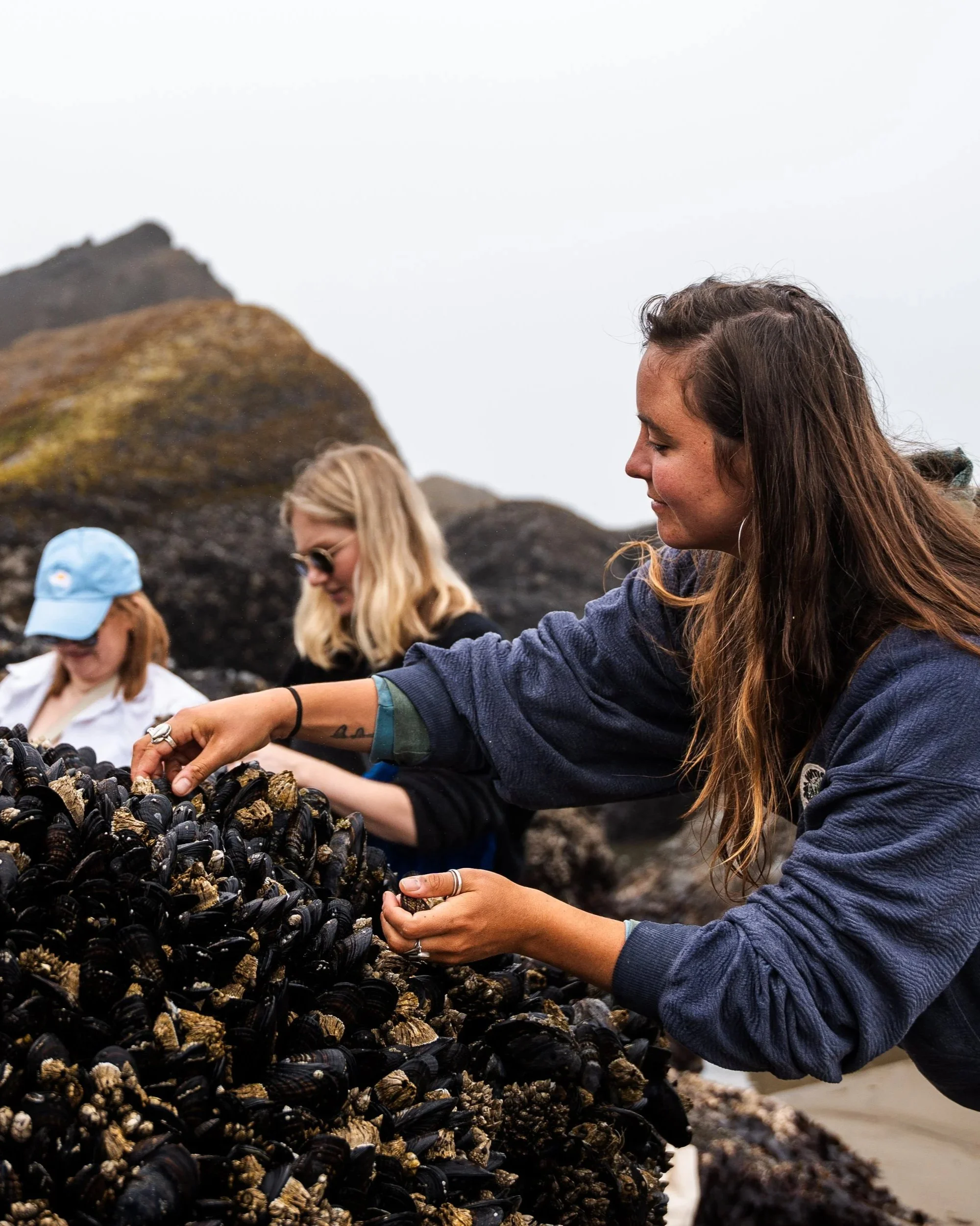 Oregon Intertidal Ecology and Exploration
