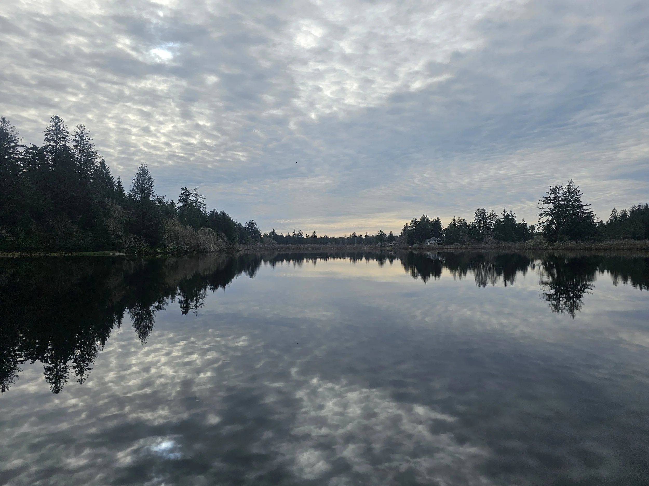 A lake, surrounded by trees on a cloudy day.