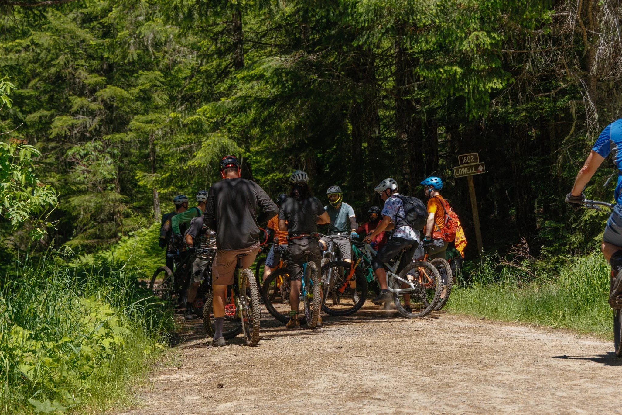A group of mountain bikers in the woods, stopped on a dirt road to discuss the next section of trail.